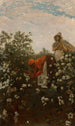 Baumwolle der Hochländer - Winslow Homer — Ansicht des Kunstwerks