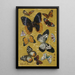 Butterflies - Wu Shujun — framed artwork on a wall