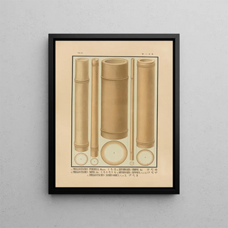 Yasuyoshi Shirasawa - Icones of the bamboos of Japan Nihon chikurui zufu Pl13.webp