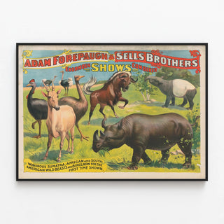adam-forepaugh-sells-brothers-enormous-shows-combined-wondrous-sumatra-african-and-south-american-wild-beasts-and-birds