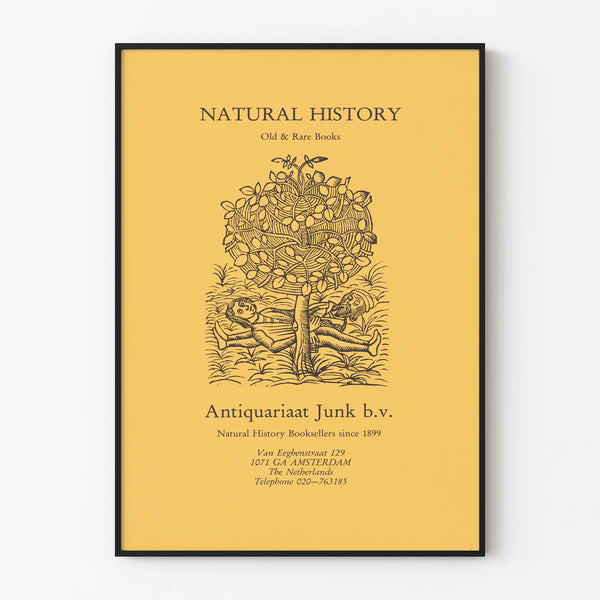 affiche-van-antiquariaat-junk-te-amsterdam