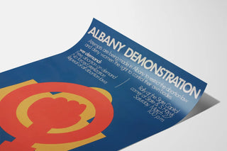 albany-demonstration-attempts-are-being-made-in-albany-to-restrict-the-abortion-law-and-deny-women-the-right-to-control