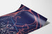 Poster Scientifico Recettori Androgeni e Evoluzione Umana