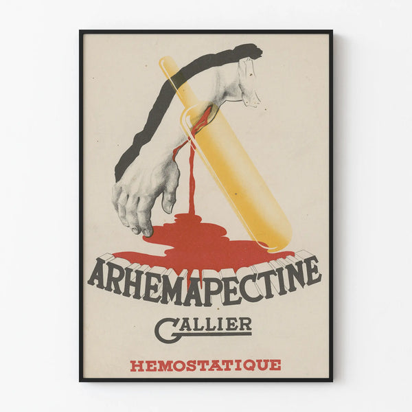 arhemapectine-gallier-3