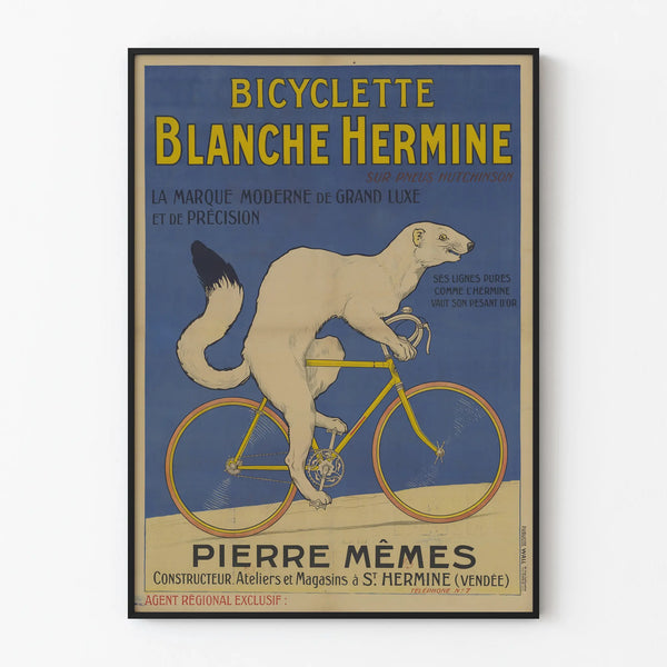 bicyclette-blanche-hermine-sur-pneu-hutchinson