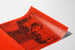 Poster Boston Musica Viva in Rosso e Nero