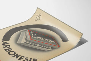 carbonesie-4