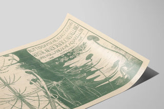 catalogusomslag-met-waterplanten