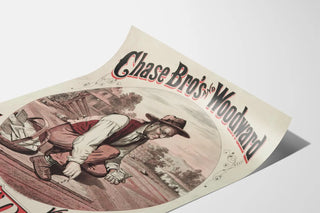 chase-bros-and-woodward-flower-vegetable-seeds