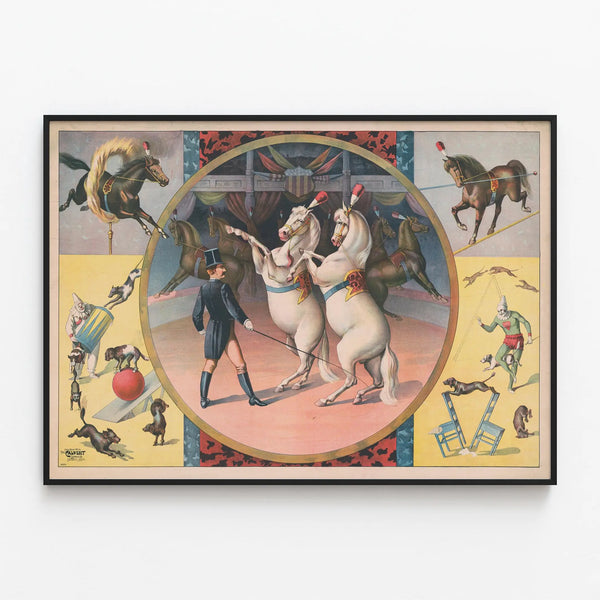 circus-horses-and-trainer