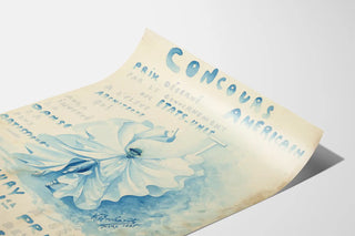 concours-americain