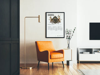 continental-sperstar-2