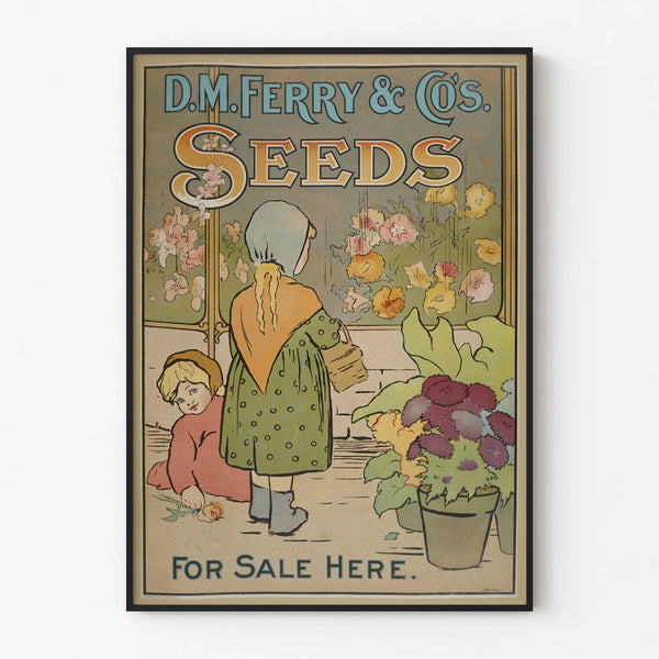 d-m-ferry-cos-standard-seeds