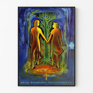 deux-hormones-gonadotropes