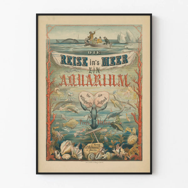 die-reise-ins-meer-ein-aquarium