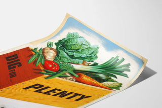 dig-for-plenty-grow-food-in-your-garden-or-get-an-allotment-2