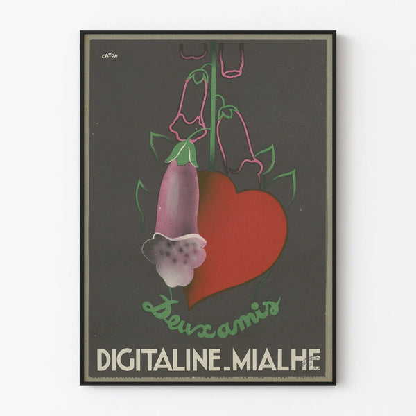 digi-lanatine-mialhe-2