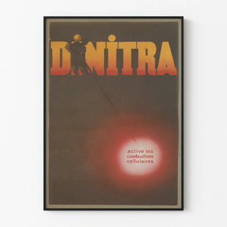 dinitra