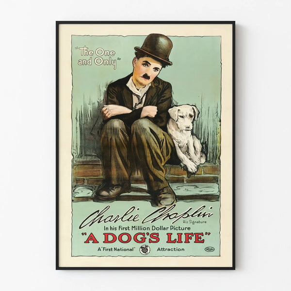 dogs-life