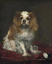Ein King Charles Spaniel - Édouard Manet — Ansicht des Kunstwerks