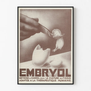 embryol