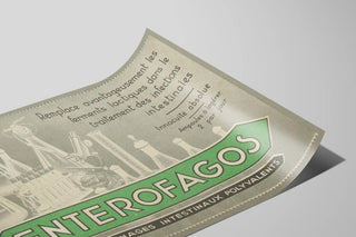 enterofagos