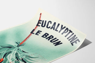 eucalyptine-le-brun-10