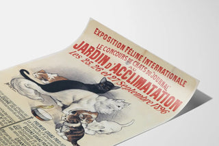 exposition-feline-internationale-le-concours-de-chats-du-journal-au-jardin-dacclimatation