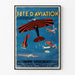 Vintage Poster of Aviation Festival with Acrobatics and Air Baptisms