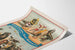 Poster vintage della compagnia di leoni marini e otarie Forepaugh & Sells Brothers