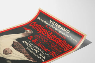 geflugel-ausstellung-verband-brandenburgischer-geflugelzuchter-vereine