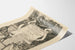 Poster vintage Grande Festa dell'Orangerie 1878