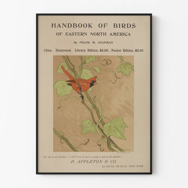 Poster vintage uccello cardinale – Manuale degli uccelli dell'America Nord-Orientale