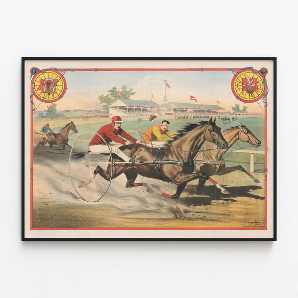 harness-racing-scene