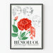 Vintage-Poster Hémoluol – Medizinische und botanische Wanddekoration