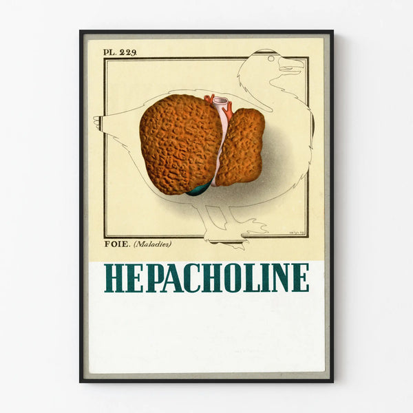 hepacholine