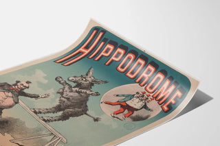 hippodrome-ane-acrobate