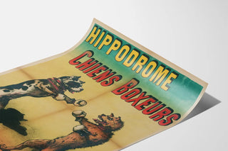 hippodrome-chiens-boxeurs