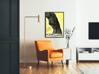 Vintage-Poster Hormolaxine – Darmrehabilitation und Bauchfreiheit