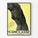 Vintage-Poster Hormolaxine – Darmrehabilitation und Bauchfreiheit