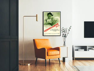 Vintage-Poster Hormovarine Byla zur Wanddekoration