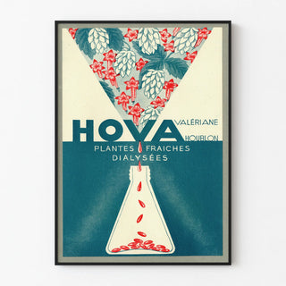 hova