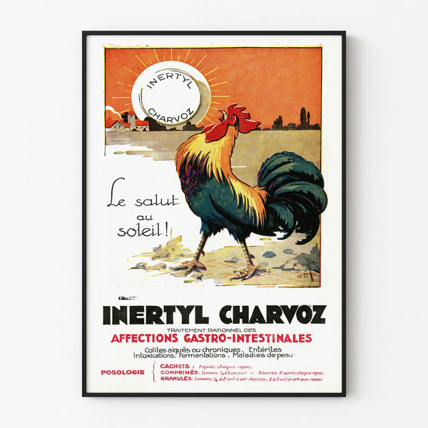 inertyl-charvoz-2