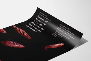 insertational-mutagenesis-in-zebrafish-nets-genes-for-early-vertebrate-development