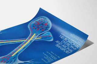 international-symposium-on-neuroaxonal-dystrophy-and-axonal-transport