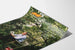 Poster decorativo Jeroen Krabbe Lettura d'estate