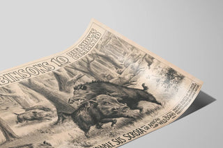 john-robinsons-10-big-shows-combined-formidable-sus-scrofa-or-african-wild-boars