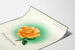 Poster decorativo Lebensfreude con rosa arancione e alone verde Artem Legrand