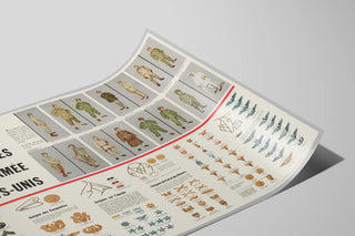Poster Decorazione Murale - Uniformi e Distintivi dell'Esercito degli Stati Uniti — vista dell’opera