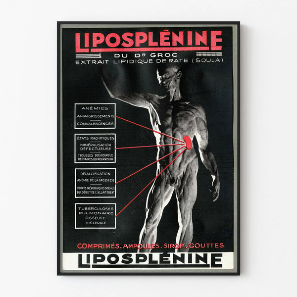 liposplenine